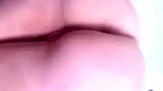 نيك بي ستفا